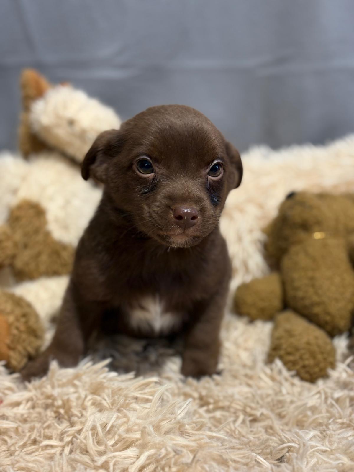 PHOTO-2025-12-16-17-13-49(4)