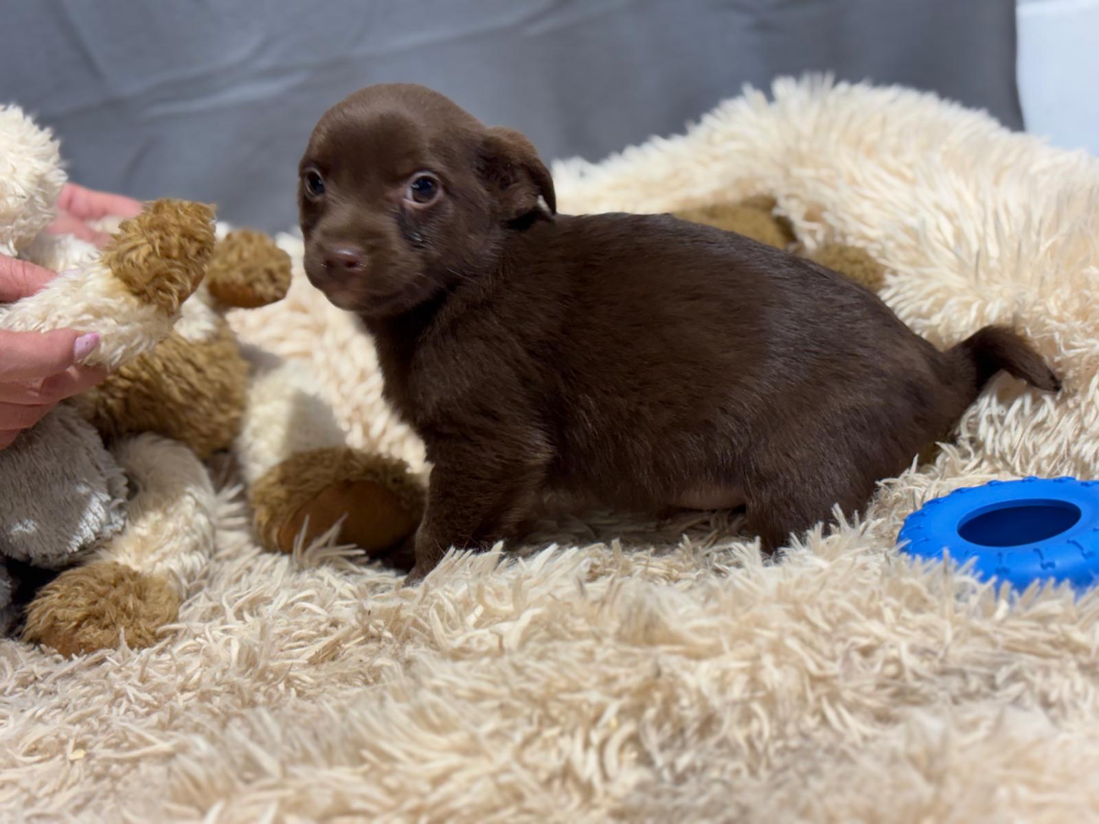 PHOTO-2025-12-16-17-13-49(5)