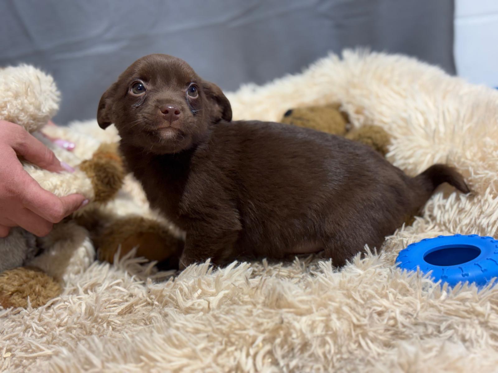 PHOTO-2025-12-16-17-13-50