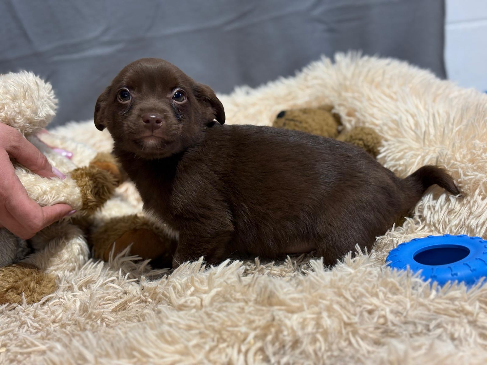 PHOTO-2025-12-16-17-13-50(1)