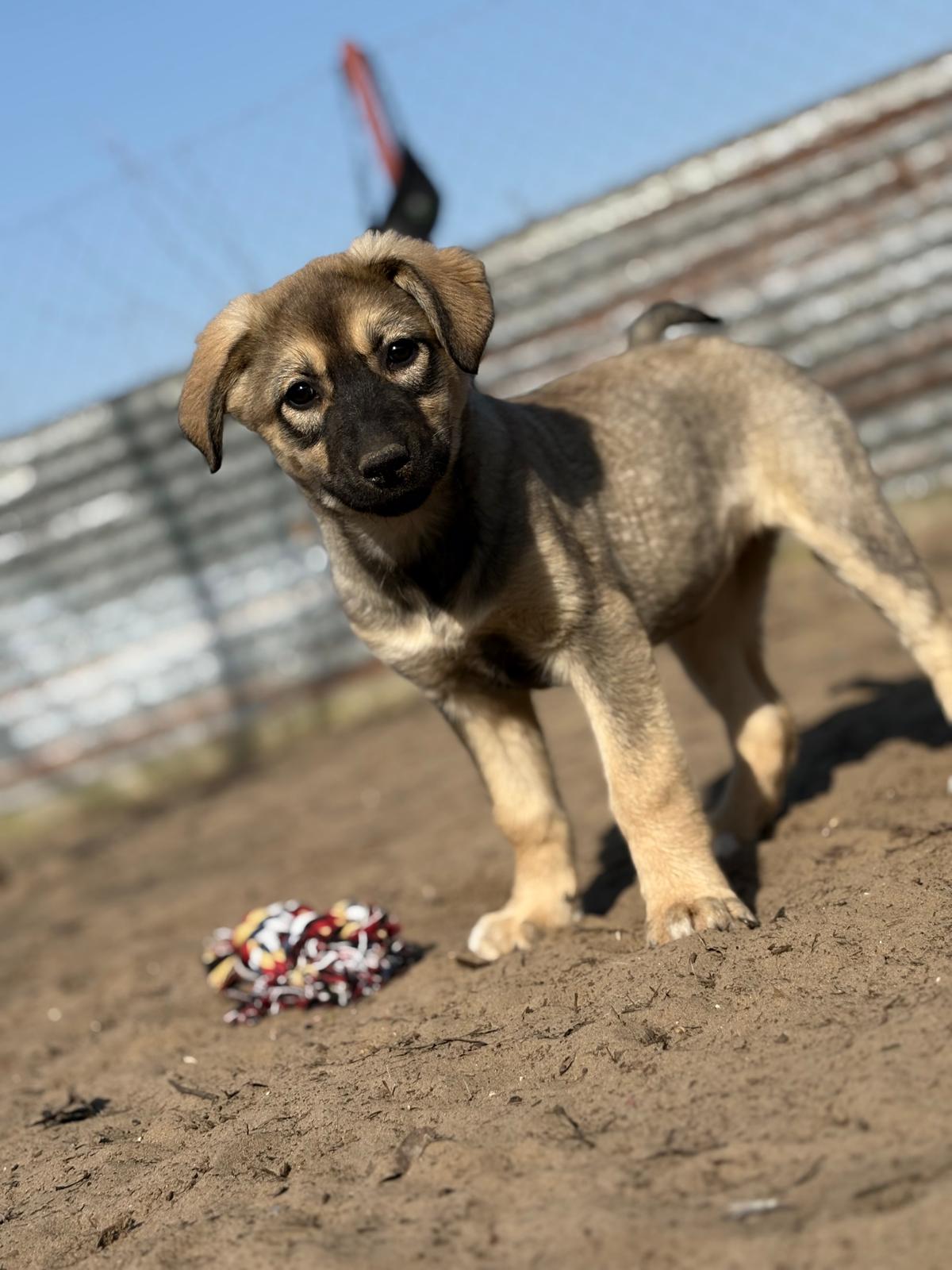 Nalani