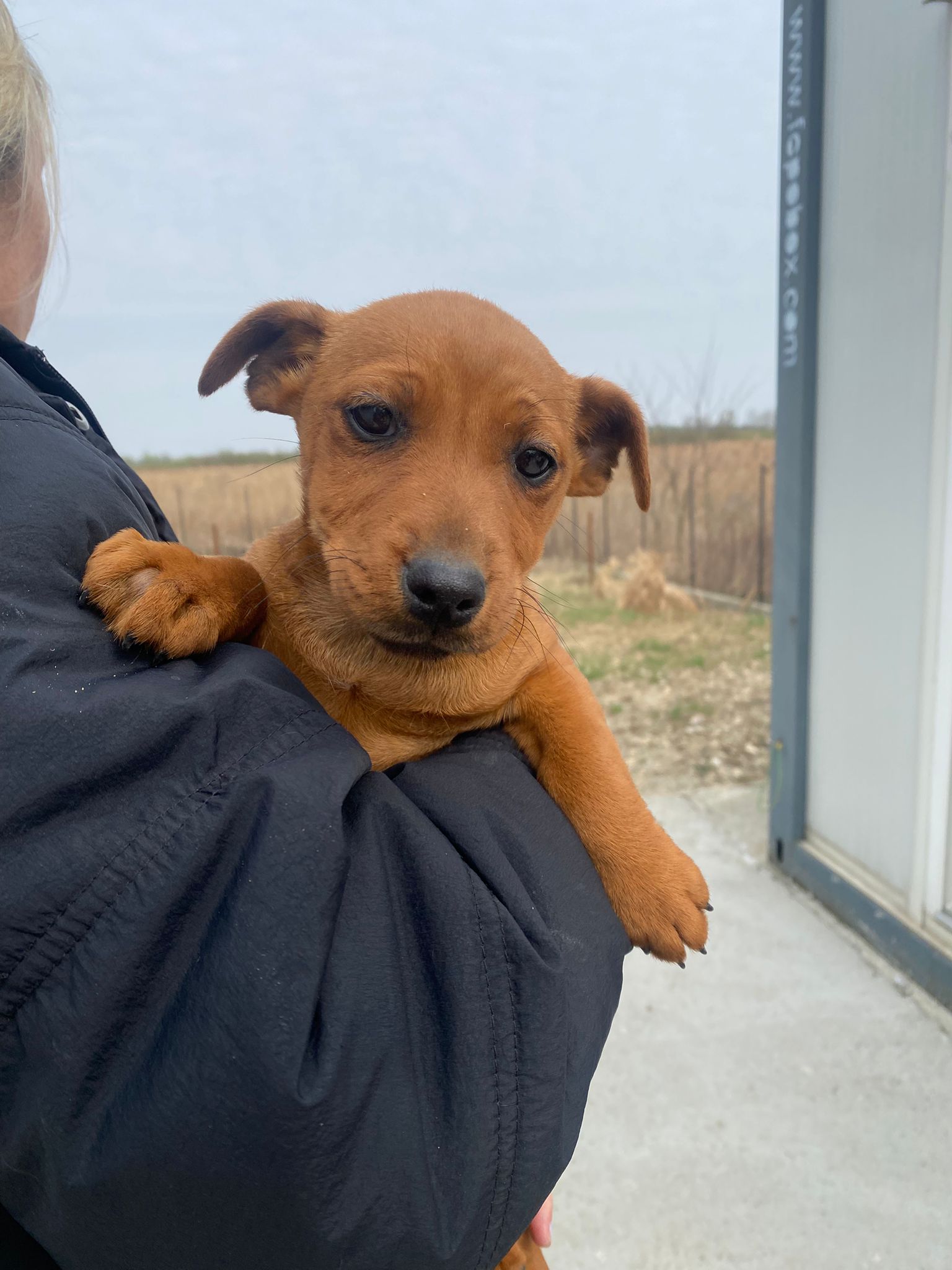 WhatsApp Image 2026-04-01 at 11.40.11 (1)