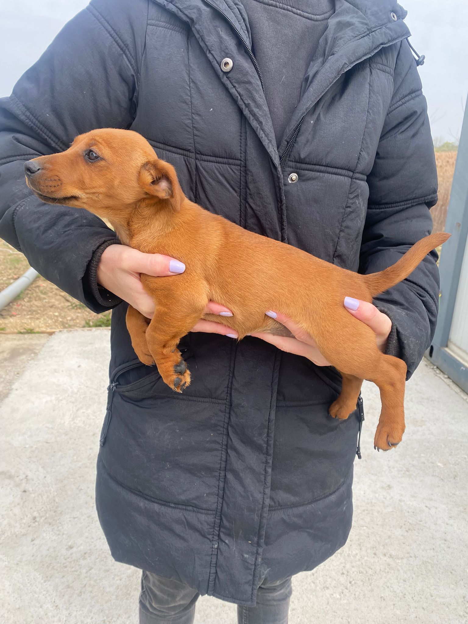 WhatsApp Image 2026-04-01 at 11.40.11