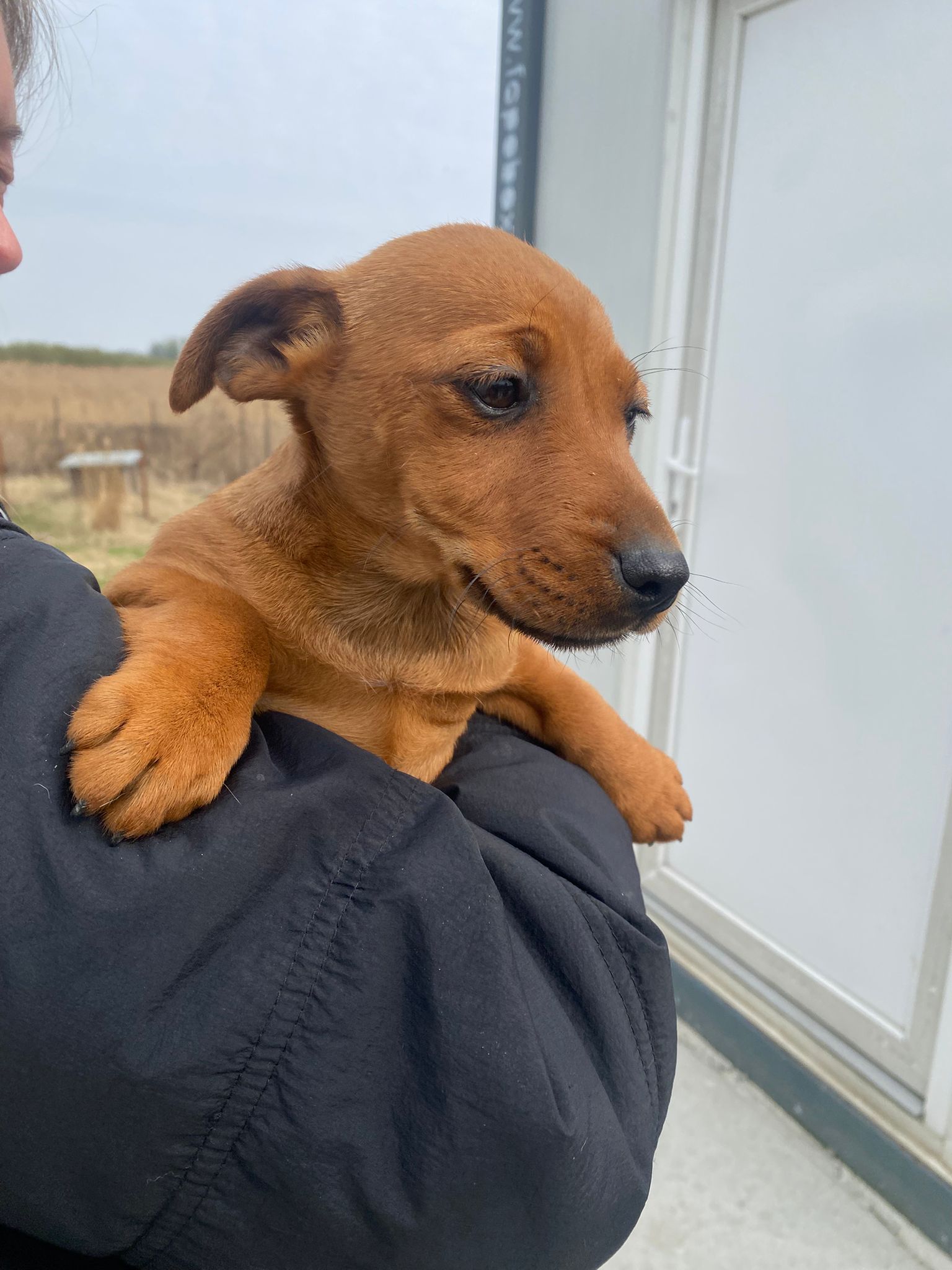 WhatsApp Image 2026-04-01 at 11.40.12 (1)