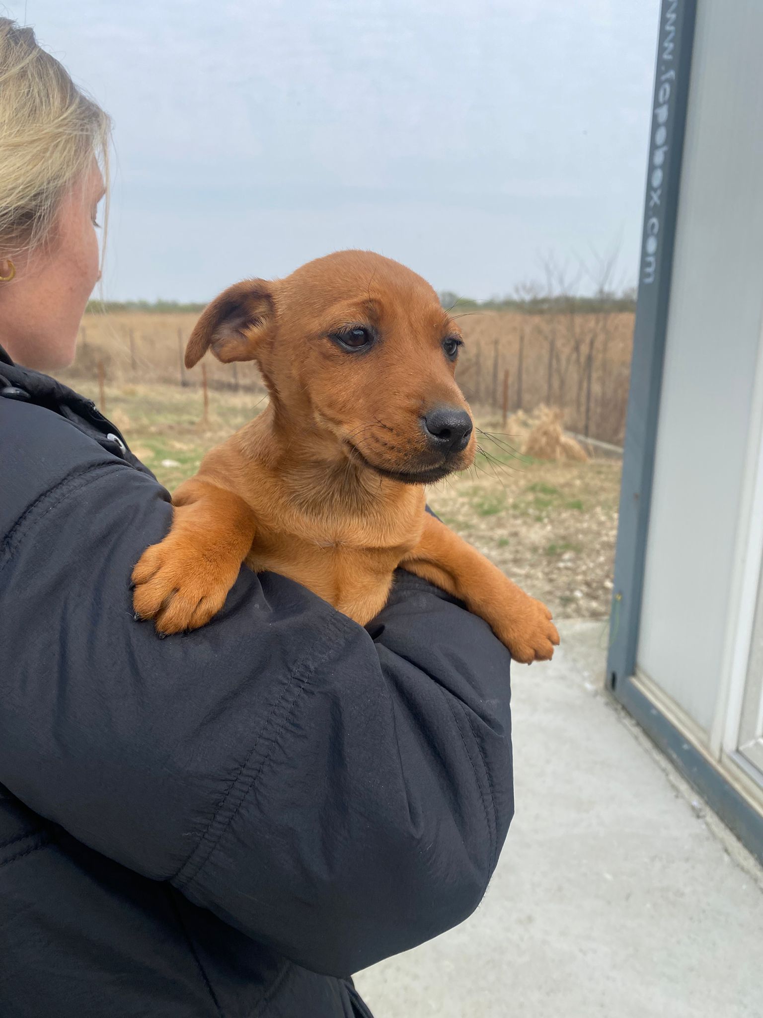 WhatsApp Image 2026-04-01 at 11.40.12 (2)