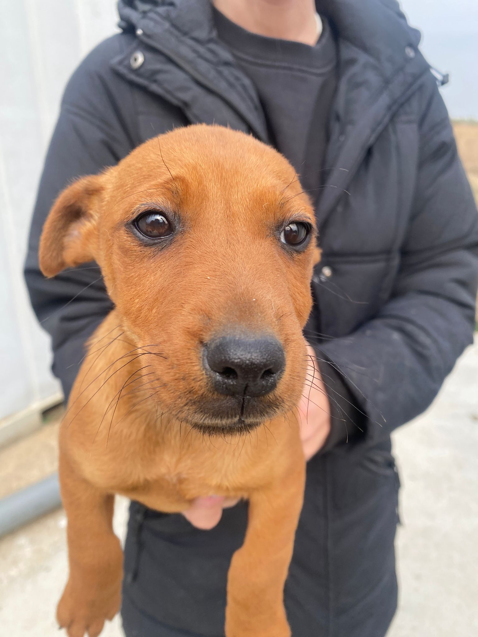 WhatsApp Image 2026-04-01 at 11.40.12 (3)