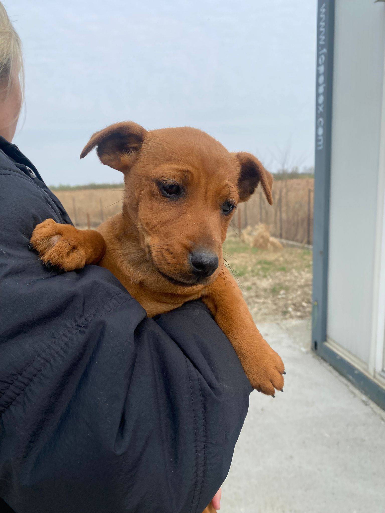 WhatsApp Image 2026-04-01 at 11.40.12