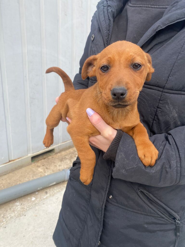 WhatsApp Image 2026-04-01 at 11.40.13 (1)