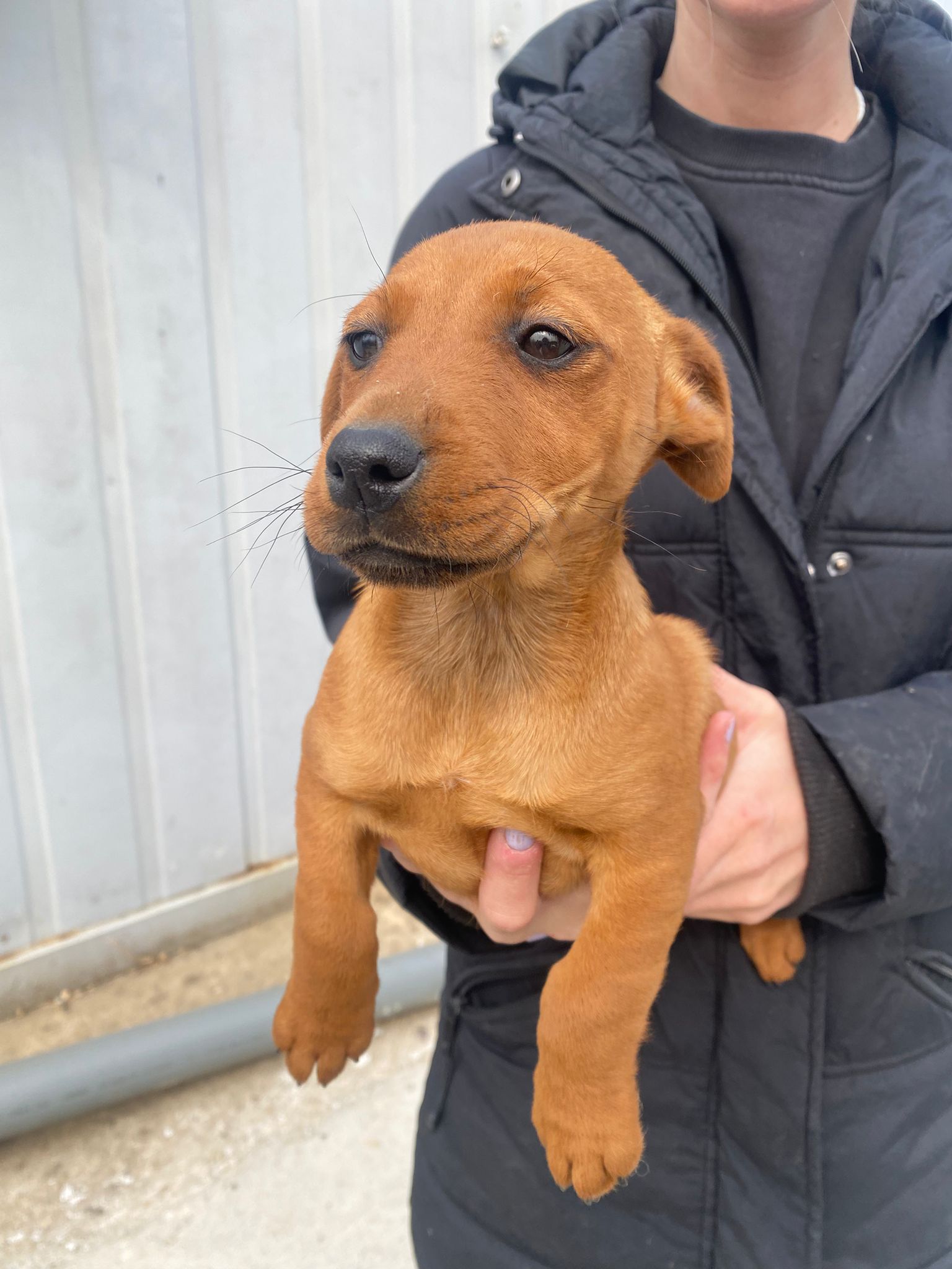 WhatsApp Image 2026-04-01 at 11.40.13