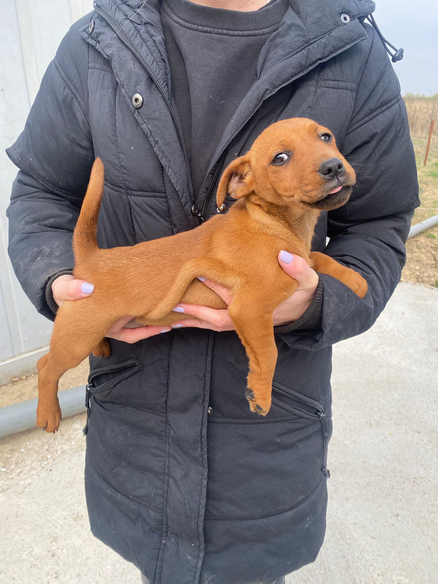 WhatsApp Image 2026-04-01 at 11.40.14