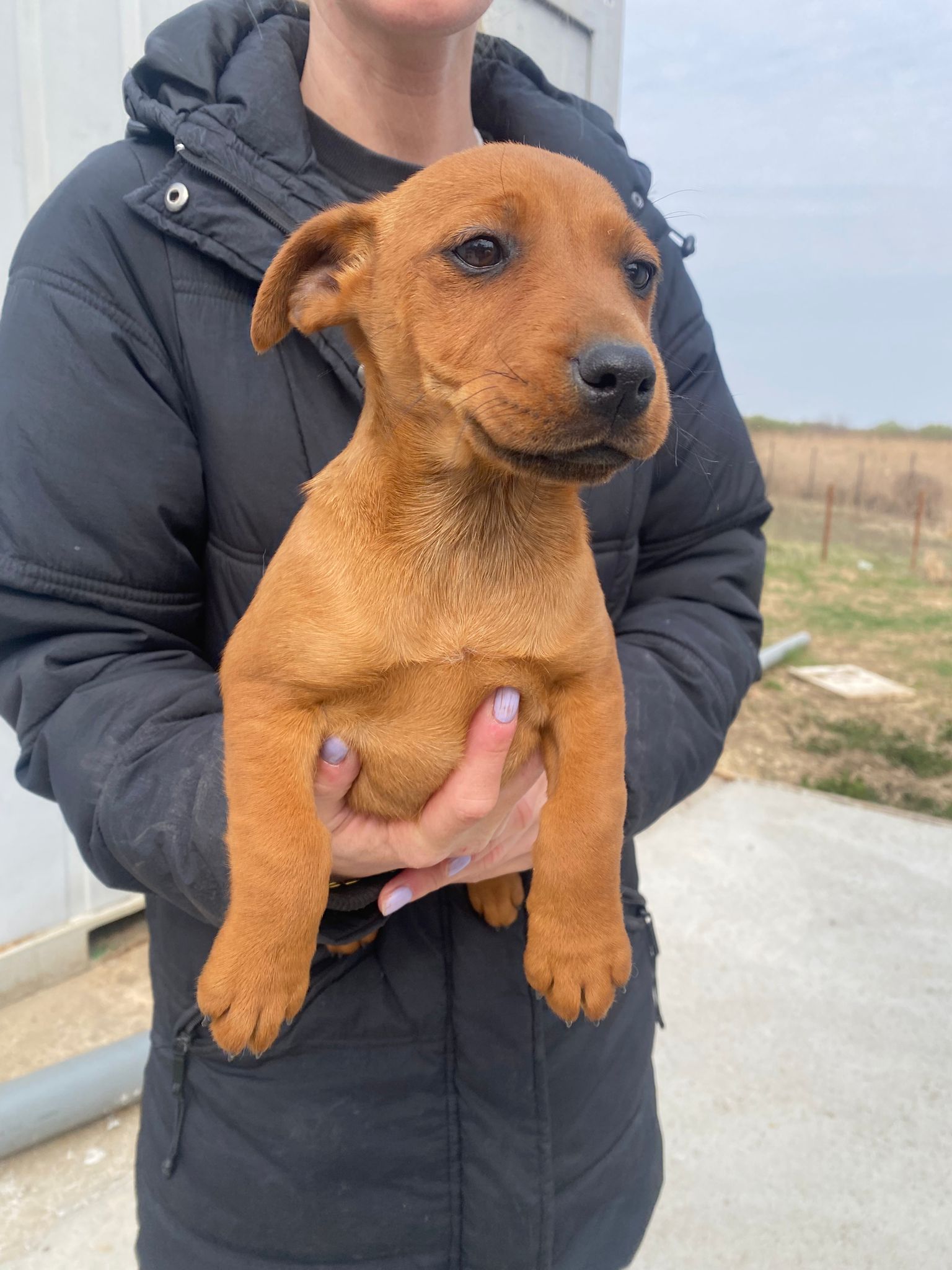 WhatsApp Image 2026-04-01 at 11.40.15