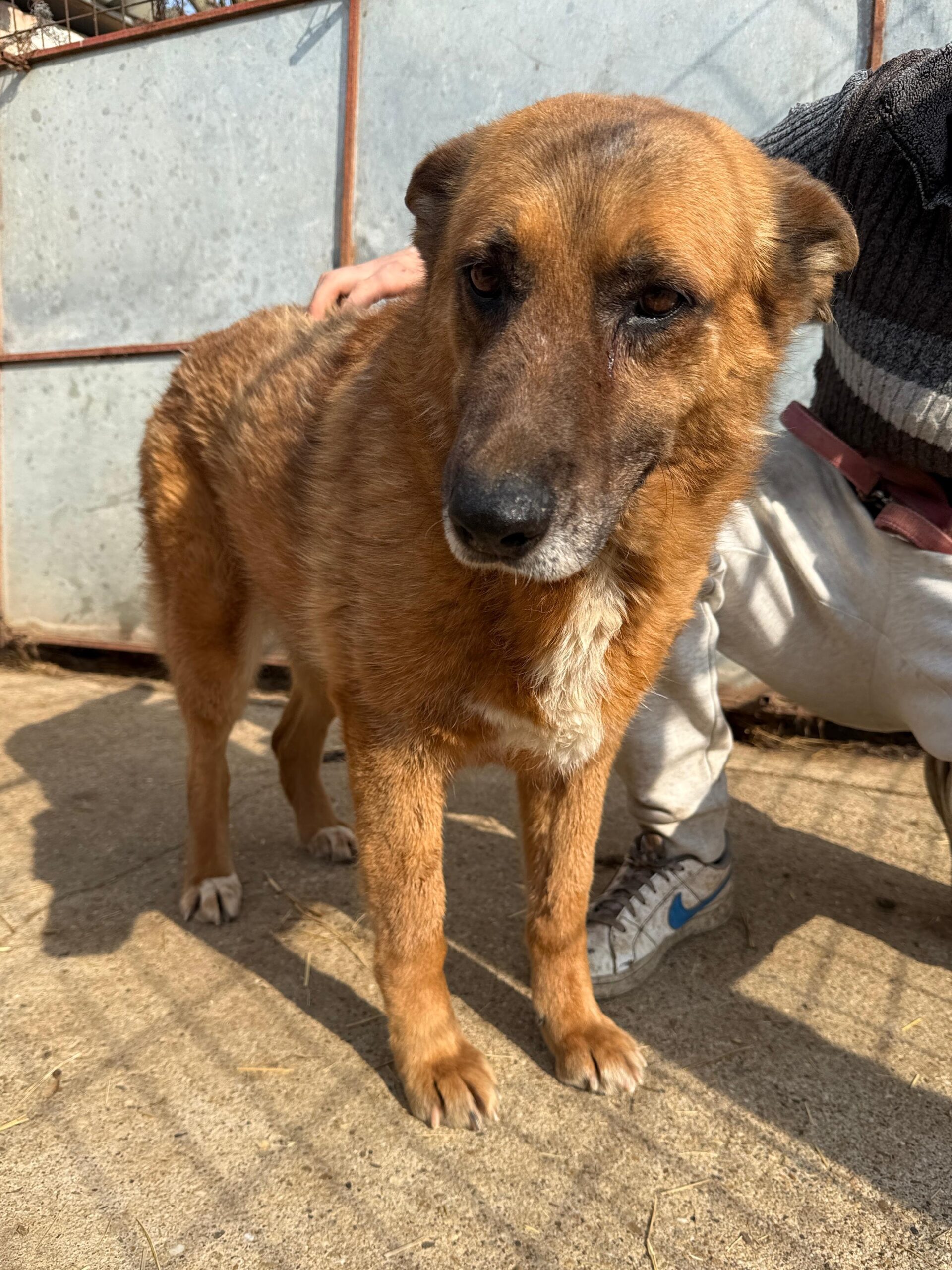 WhatsApp Image 2026-04-03 at 21.03.56