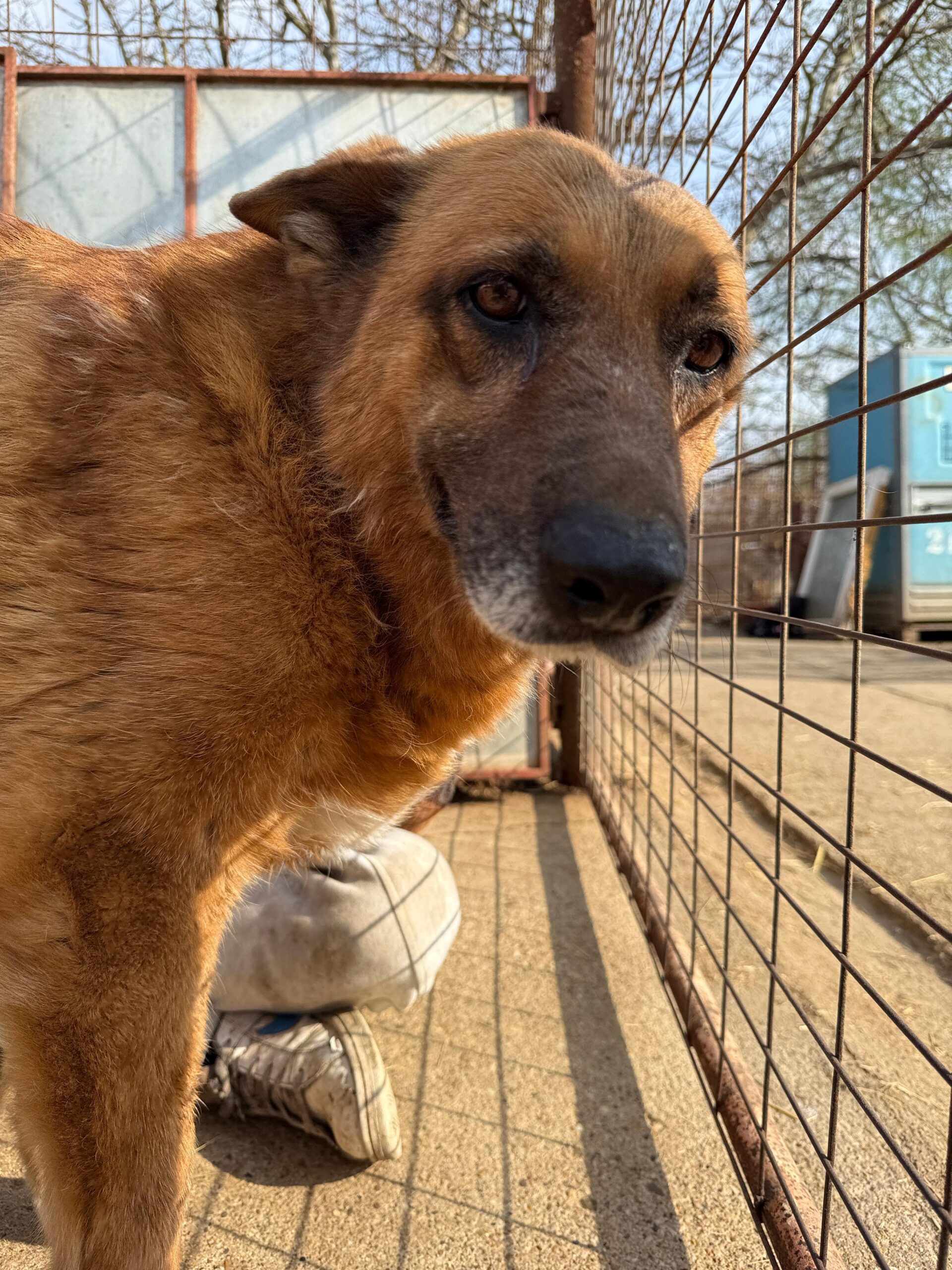 WhatsApp Image 2026-04-03 at 21.03.57 (1)