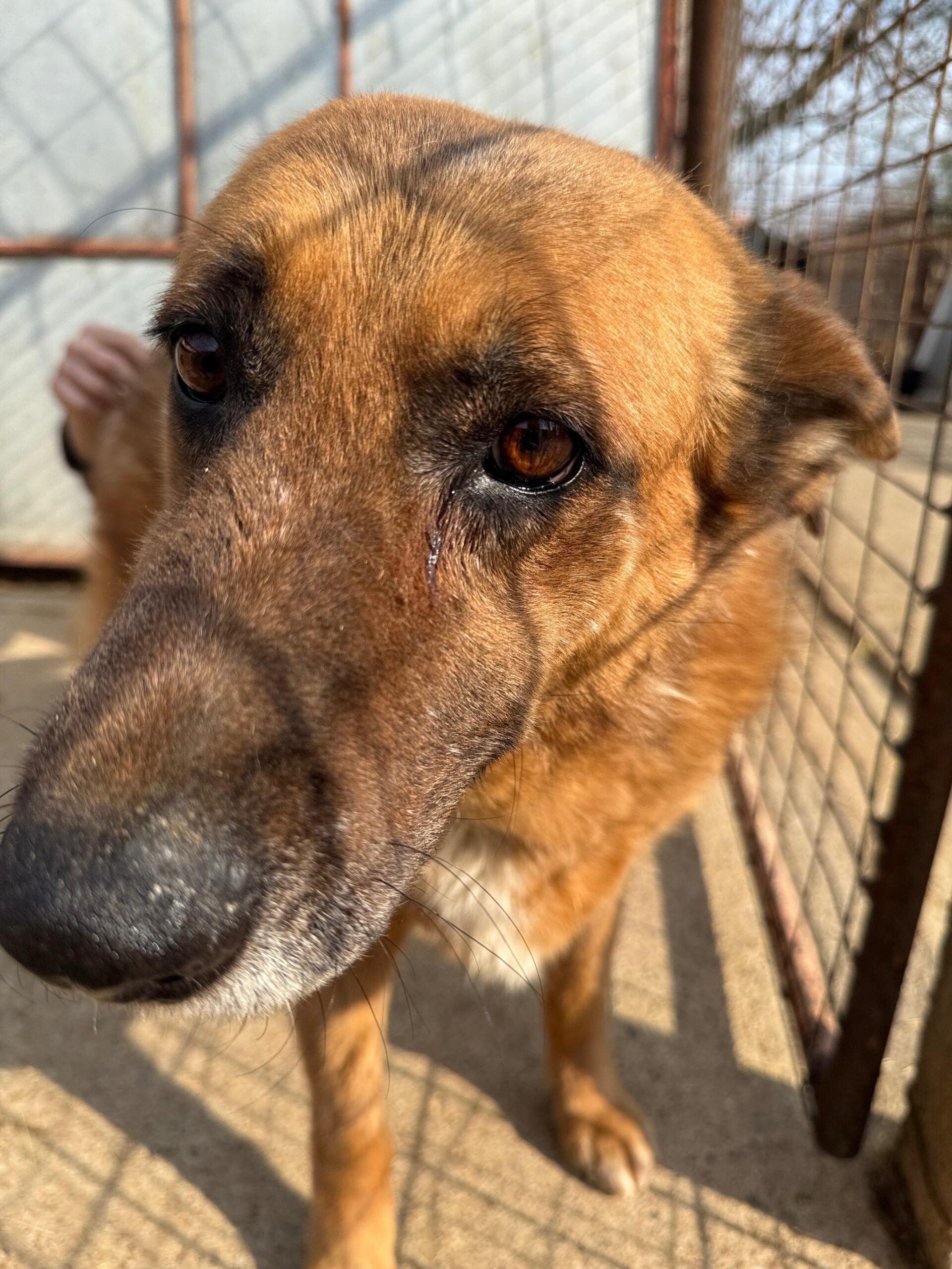 WhatsApp Image 2026-04-03 at 21.03.57 (2)