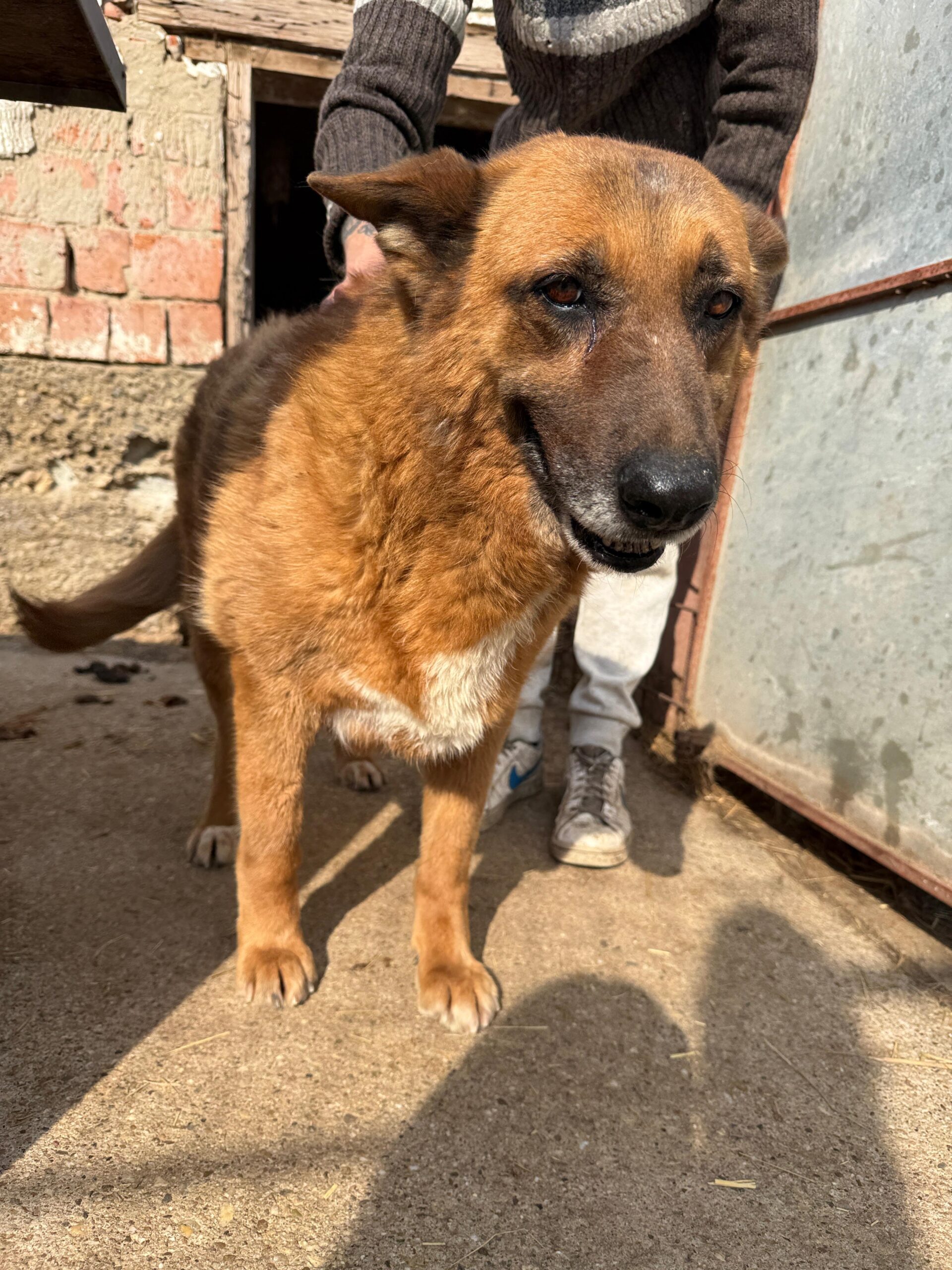 WhatsApp Image 2026-04-03 at 21.03.57 (3)