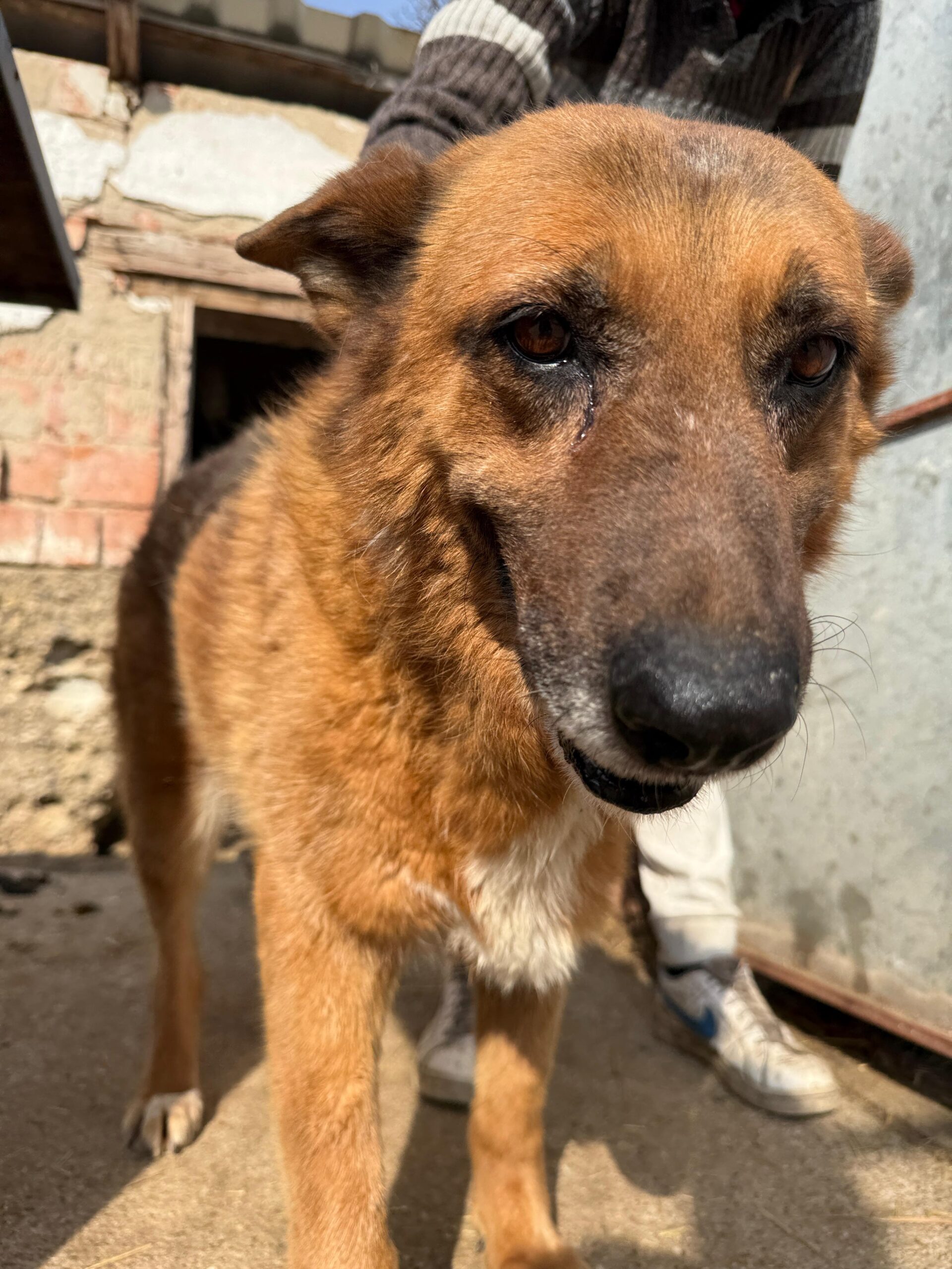 WhatsApp Image 2026-04-03 at 21.03.57 (5)