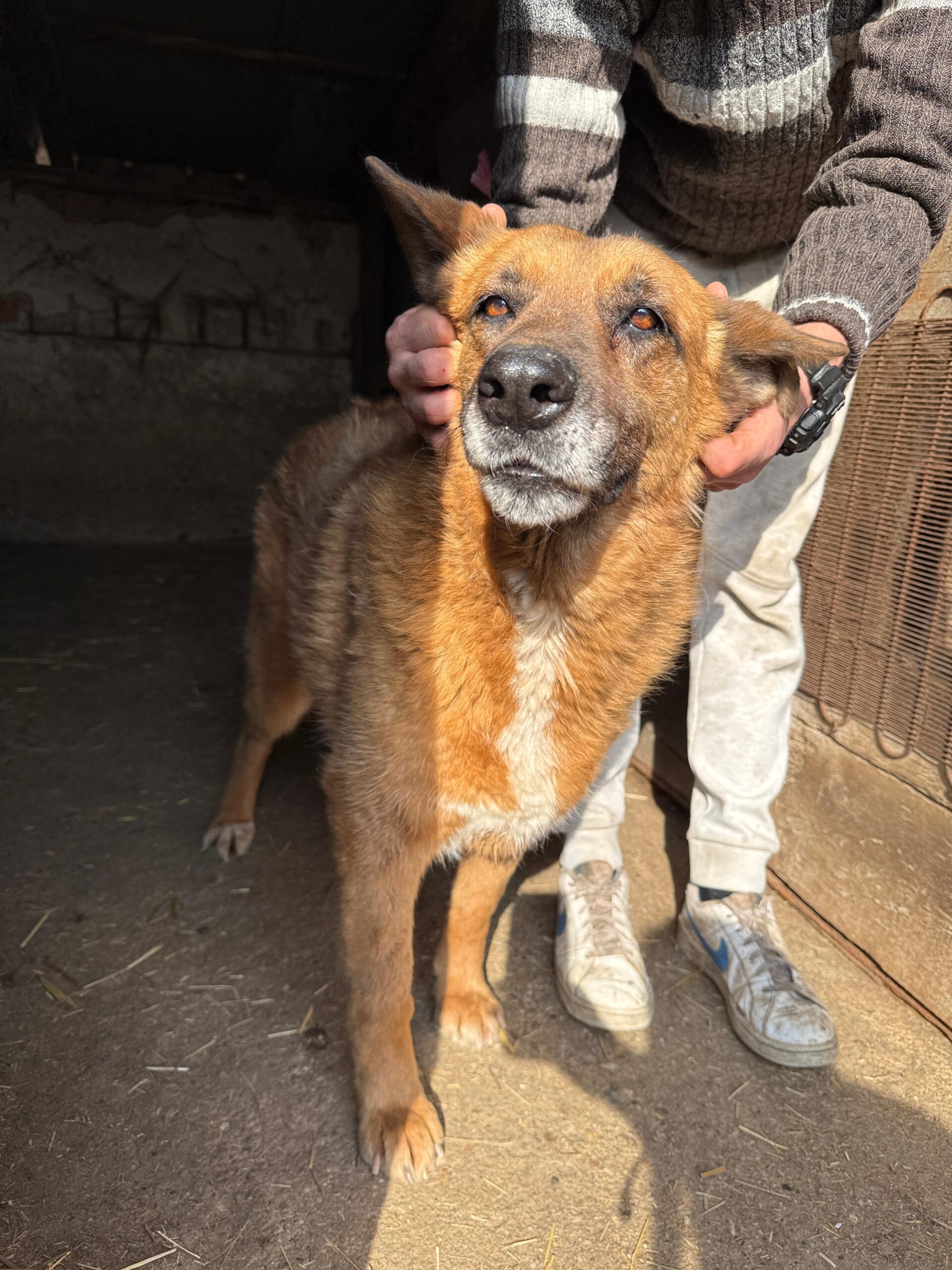 WhatsApp Image 2026-04-03 at 21.03.57 (6)