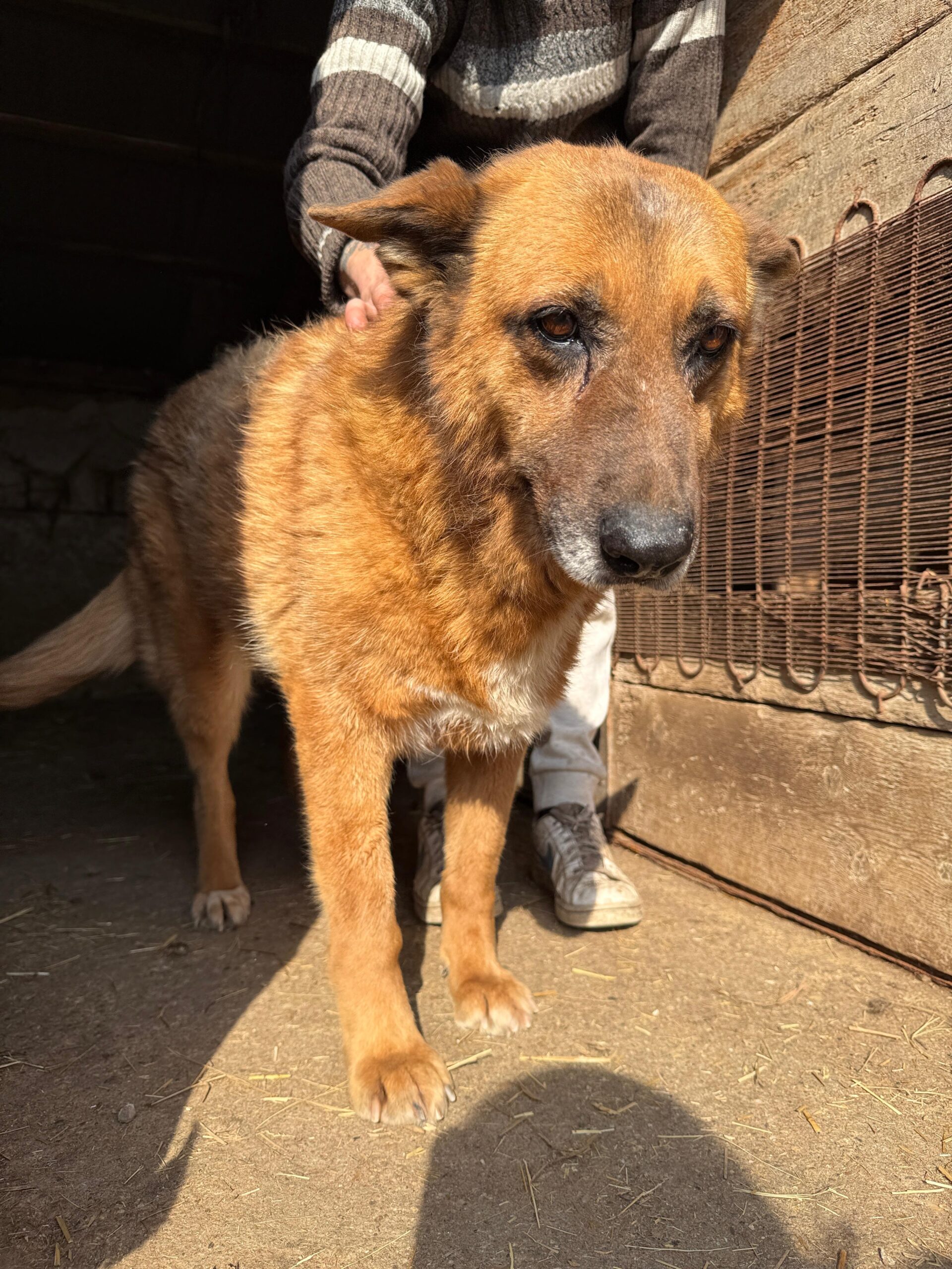 WhatsApp Image 2026-04-03 at 21.03.57 (7)