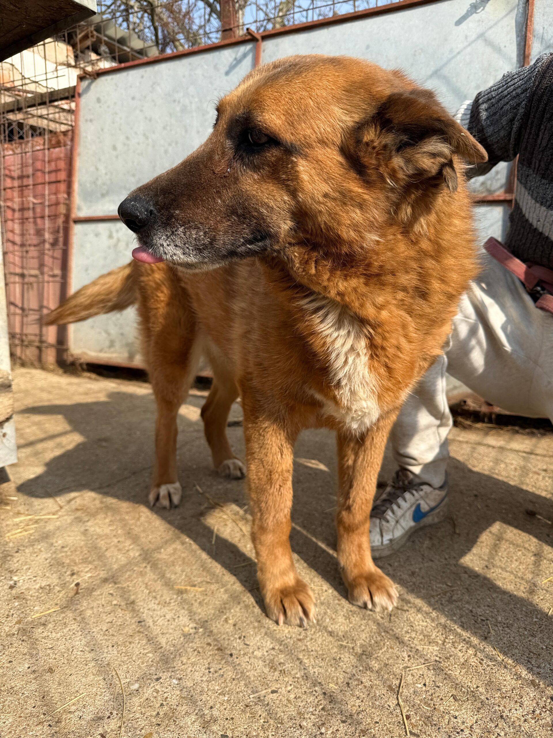 WhatsApp Image 2026-04-03 at 21.03.57