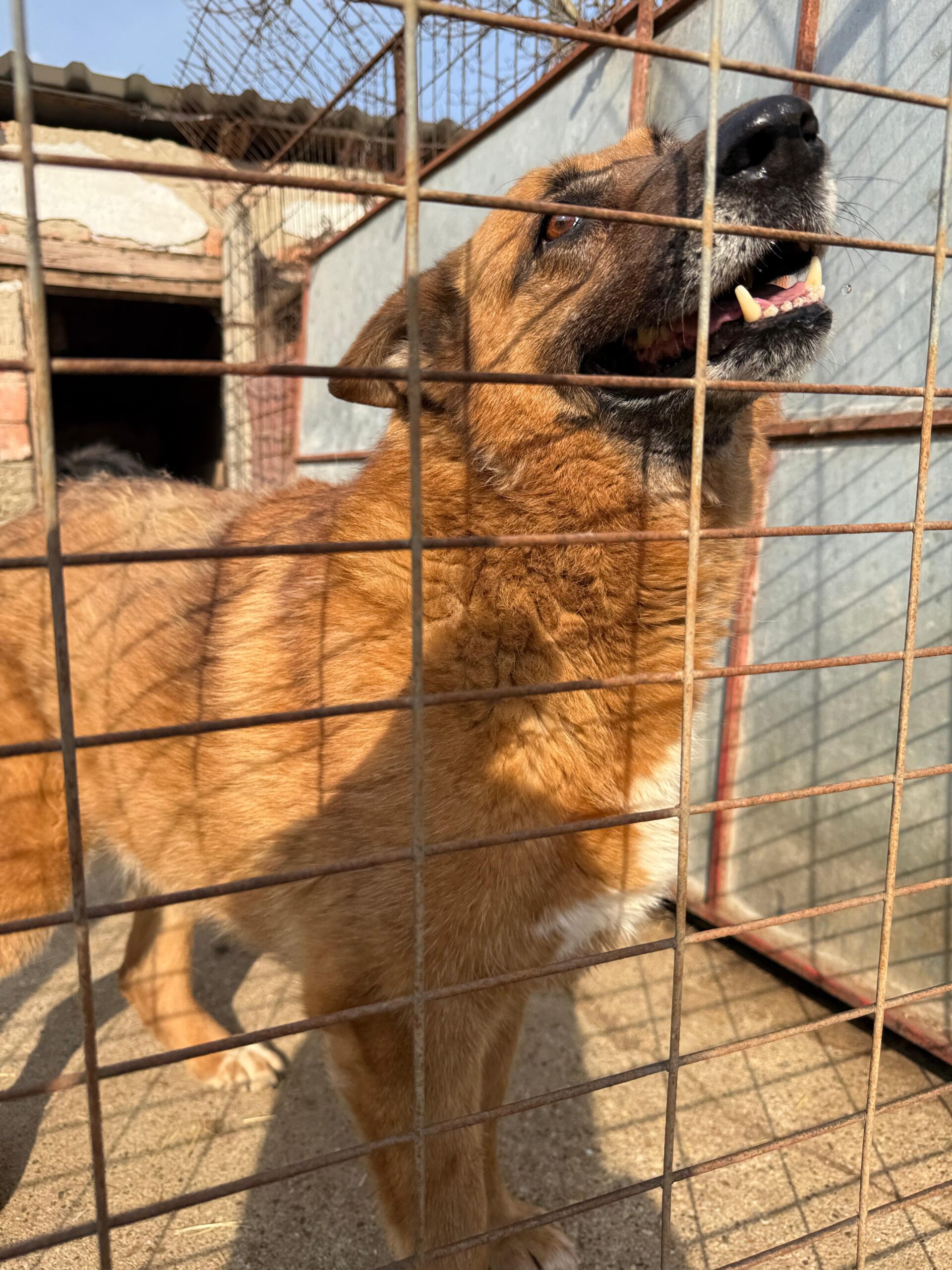 WhatsApp Image 2026-04-03 at 21.03.58 (1)