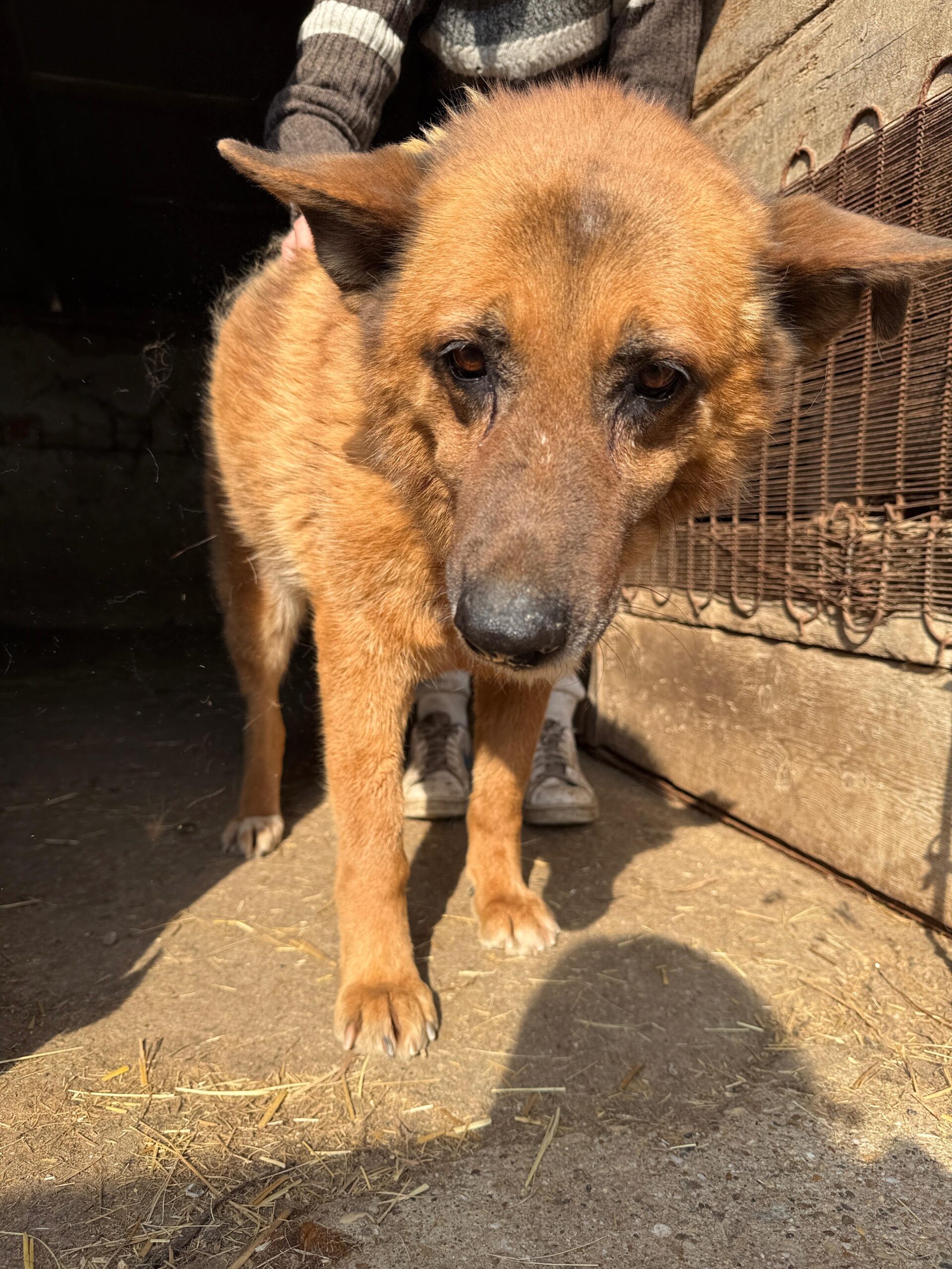 WhatsApp Image 2026-04-03 at 21.03.58