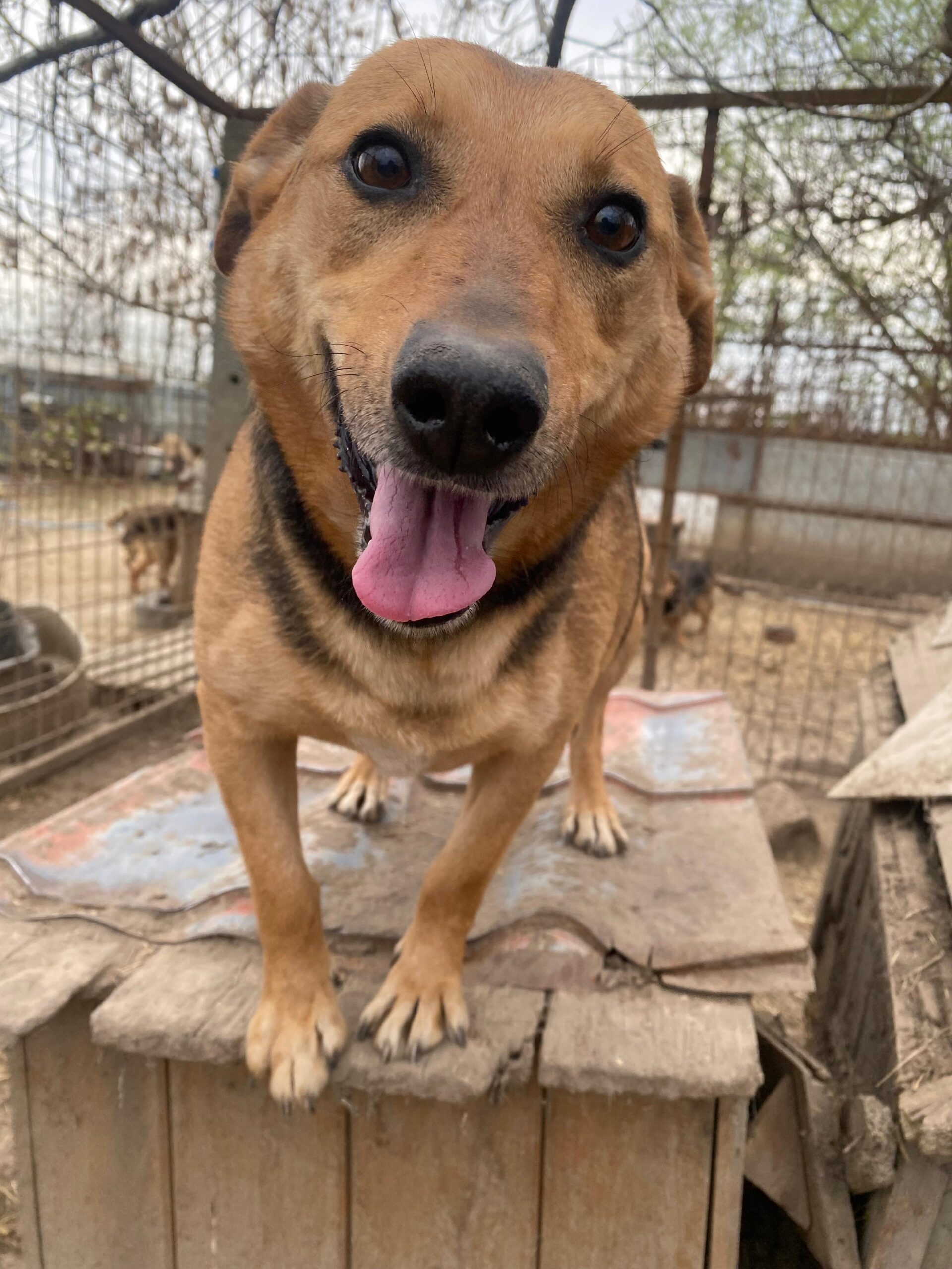 WhatsApp Image 2026-04-07 at 12.43.09 (1)