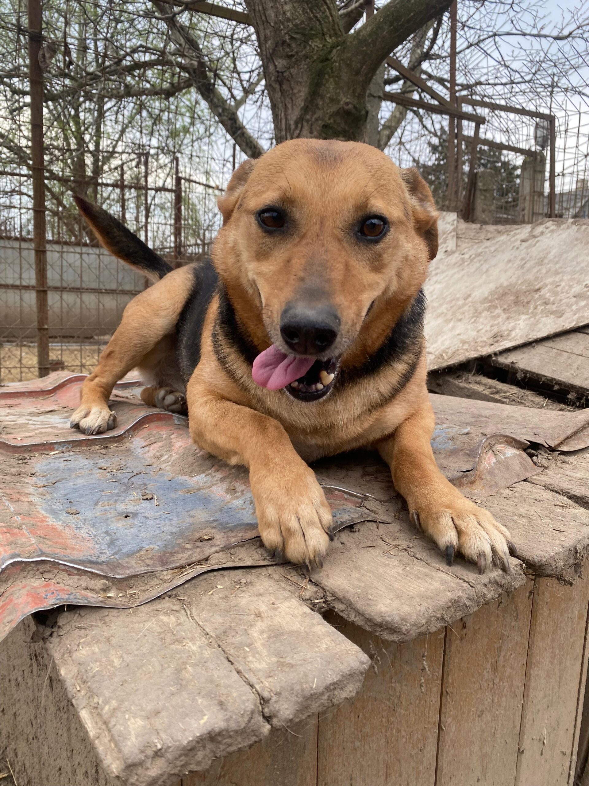 WhatsApp Image 2026-04-07 at 12.43.09 (2)