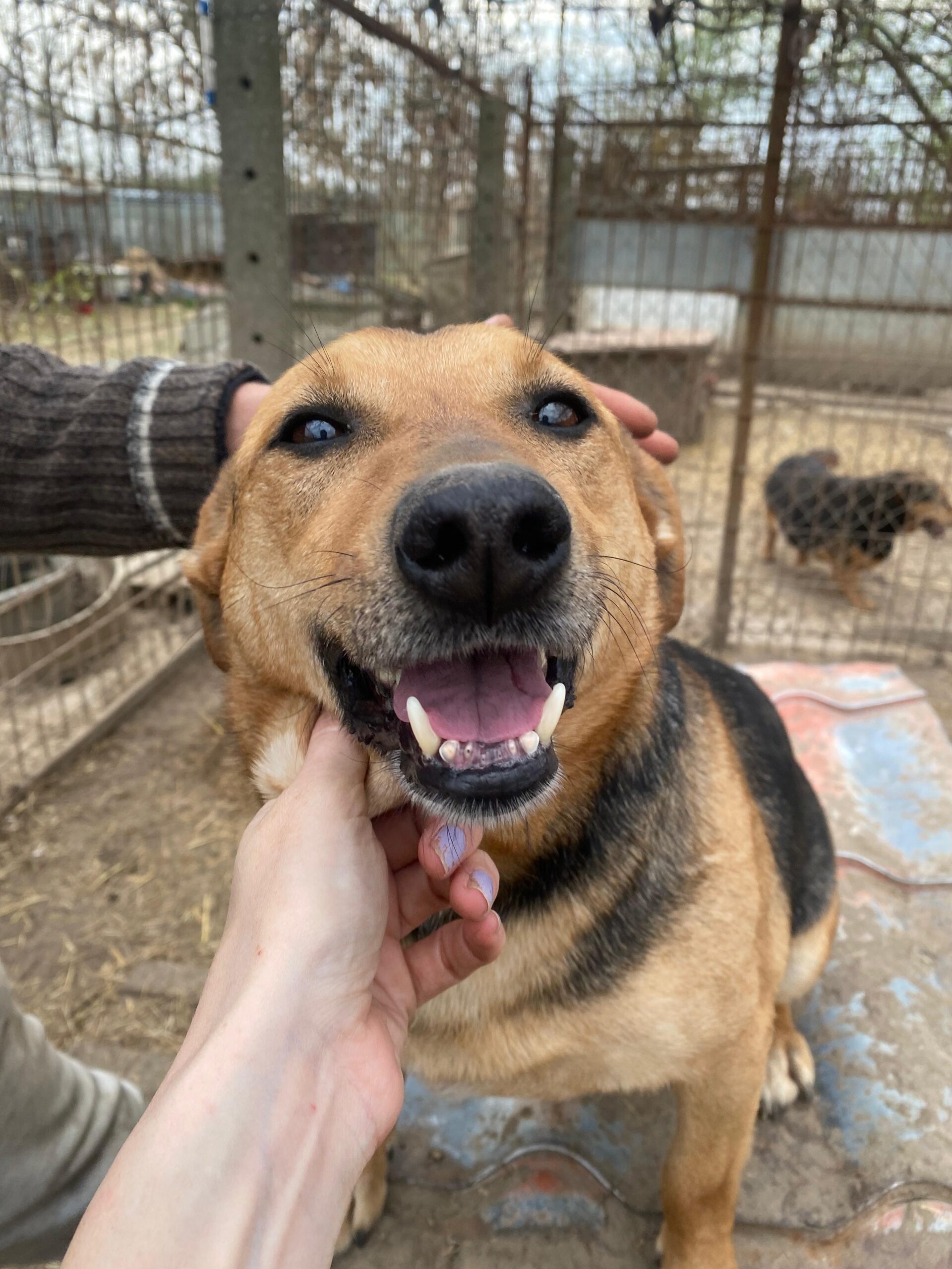 WhatsApp Image 2026-04-07 at 12.43.09