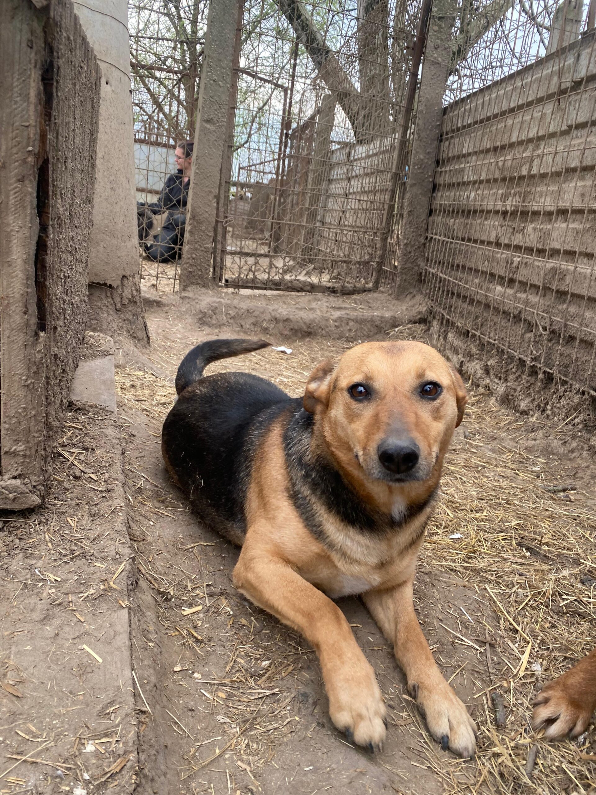 WhatsApp Image 2026-04-07 at 12.43.12 (1)