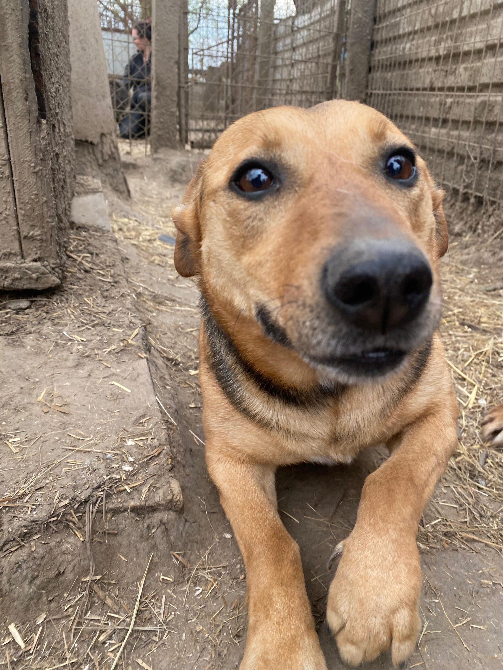 WhatsApp Image 2026-04-07 at 12.43.12 (2)