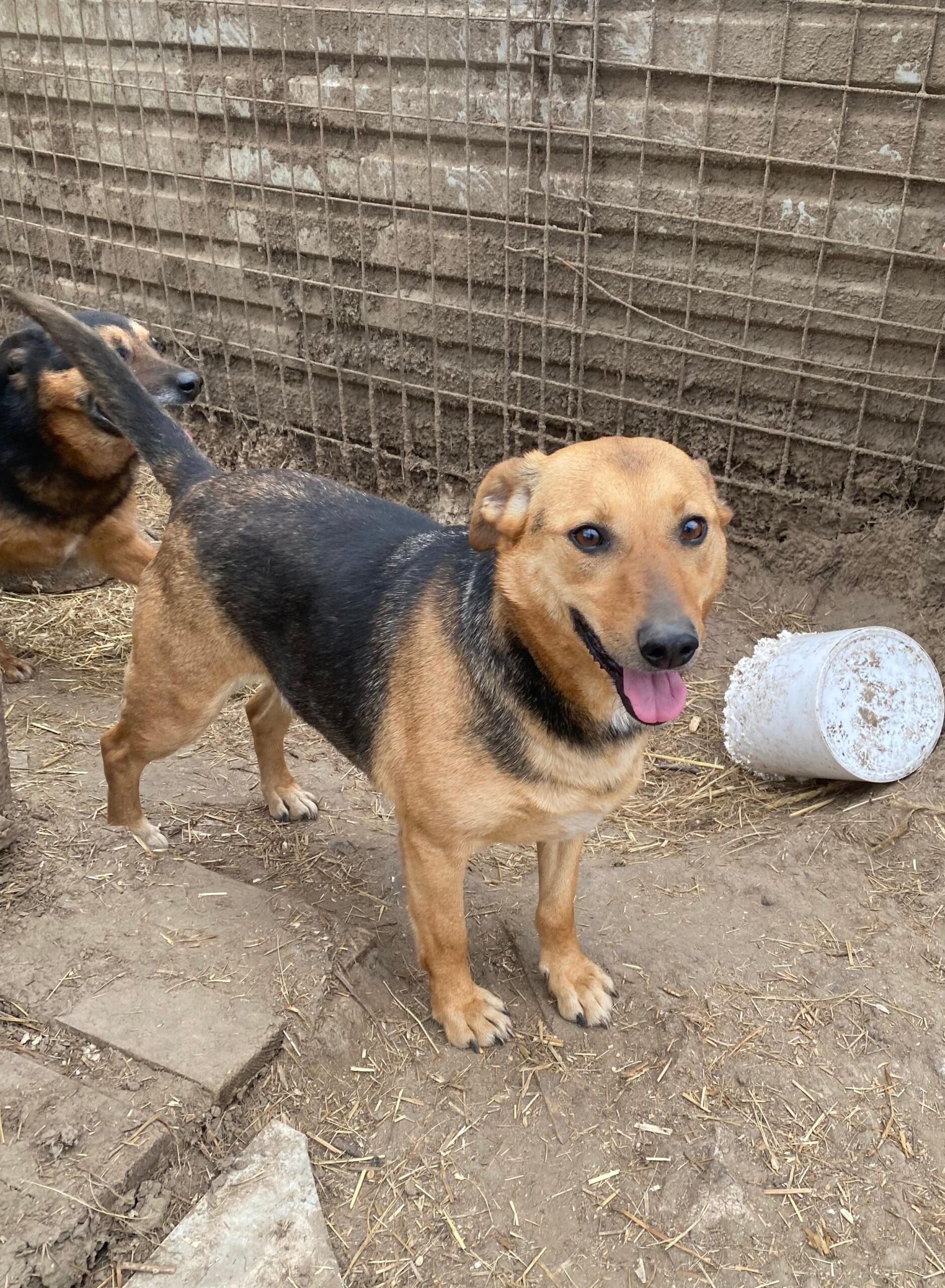 WhatsApp Image 2026-04-07 at 12.43.12