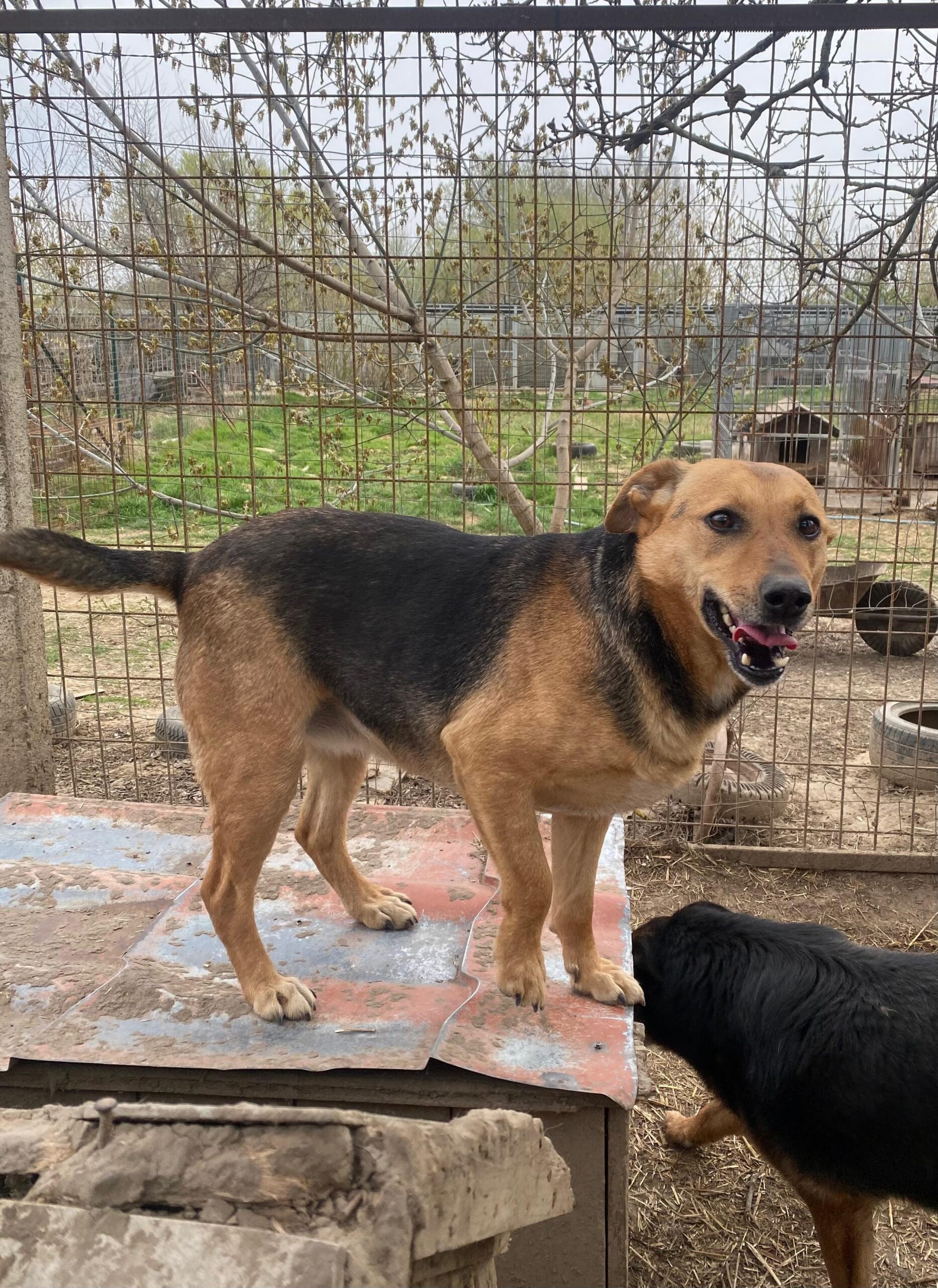 WhatsApp Image 2026-04-07 at 12.43.13 (1)