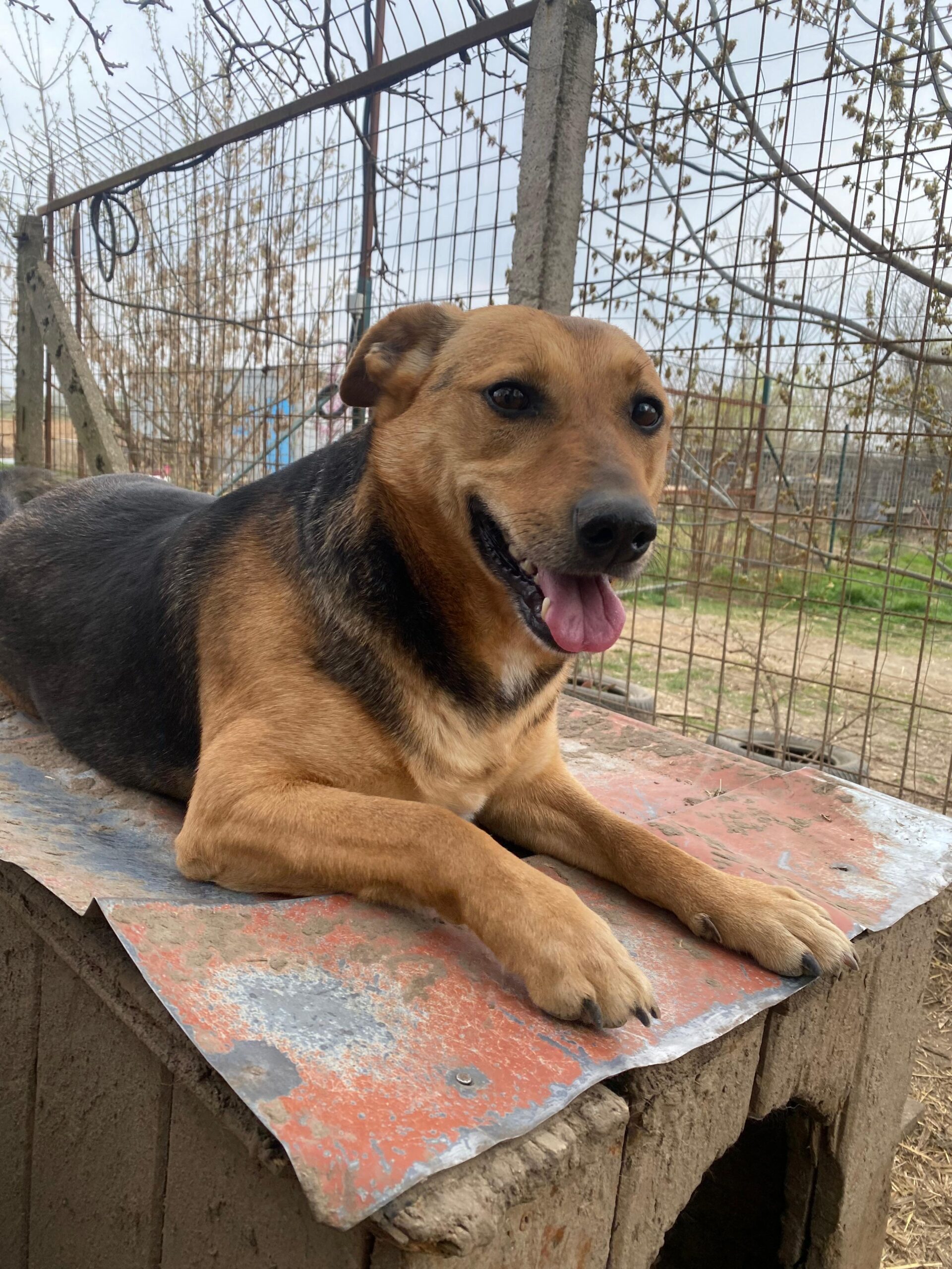 WhatsApp Image 2026-04-07 at 12.43.13 (2)