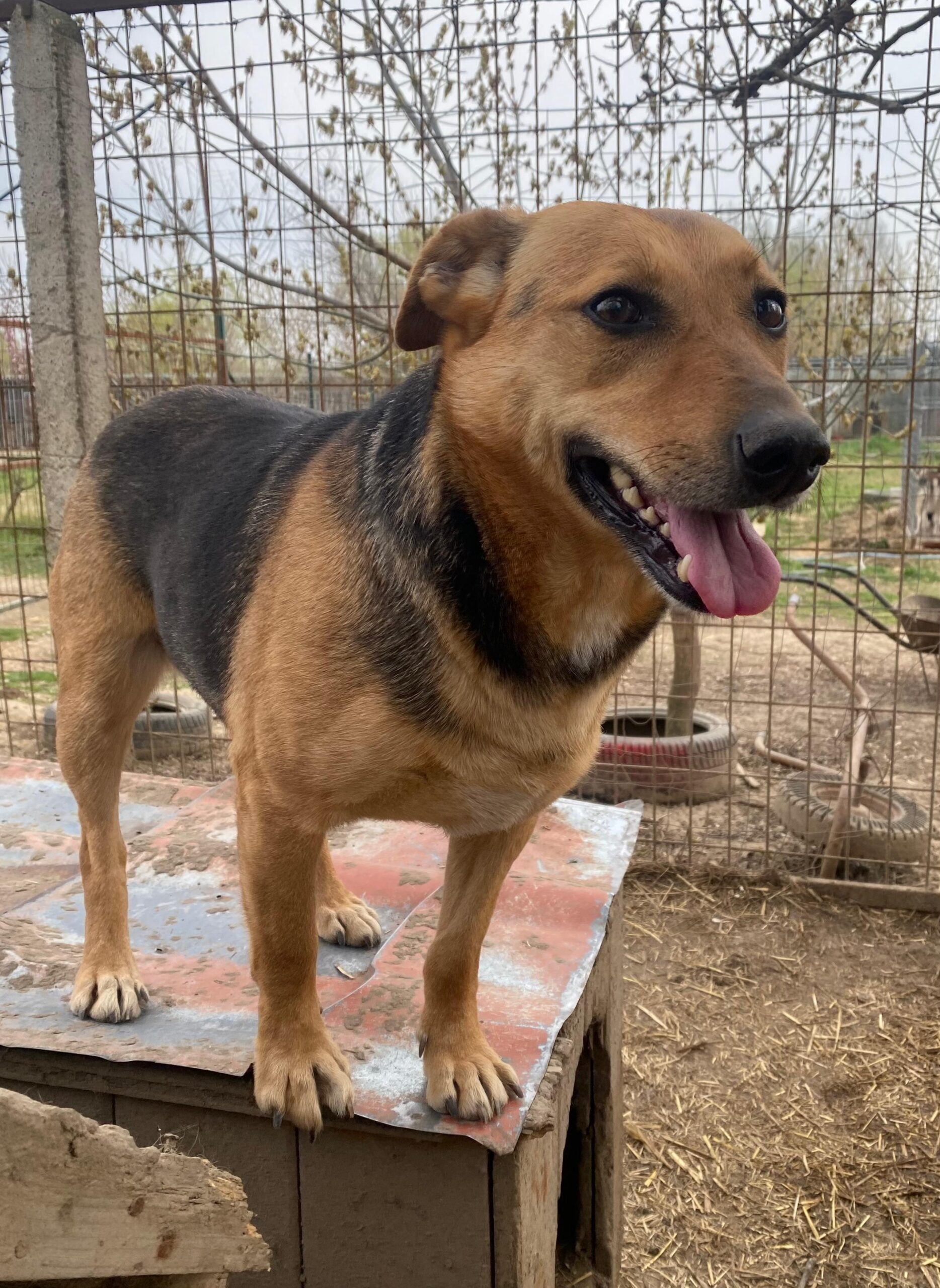 WhatsApp Image 2026-04-07 at 12.43.13 (3)