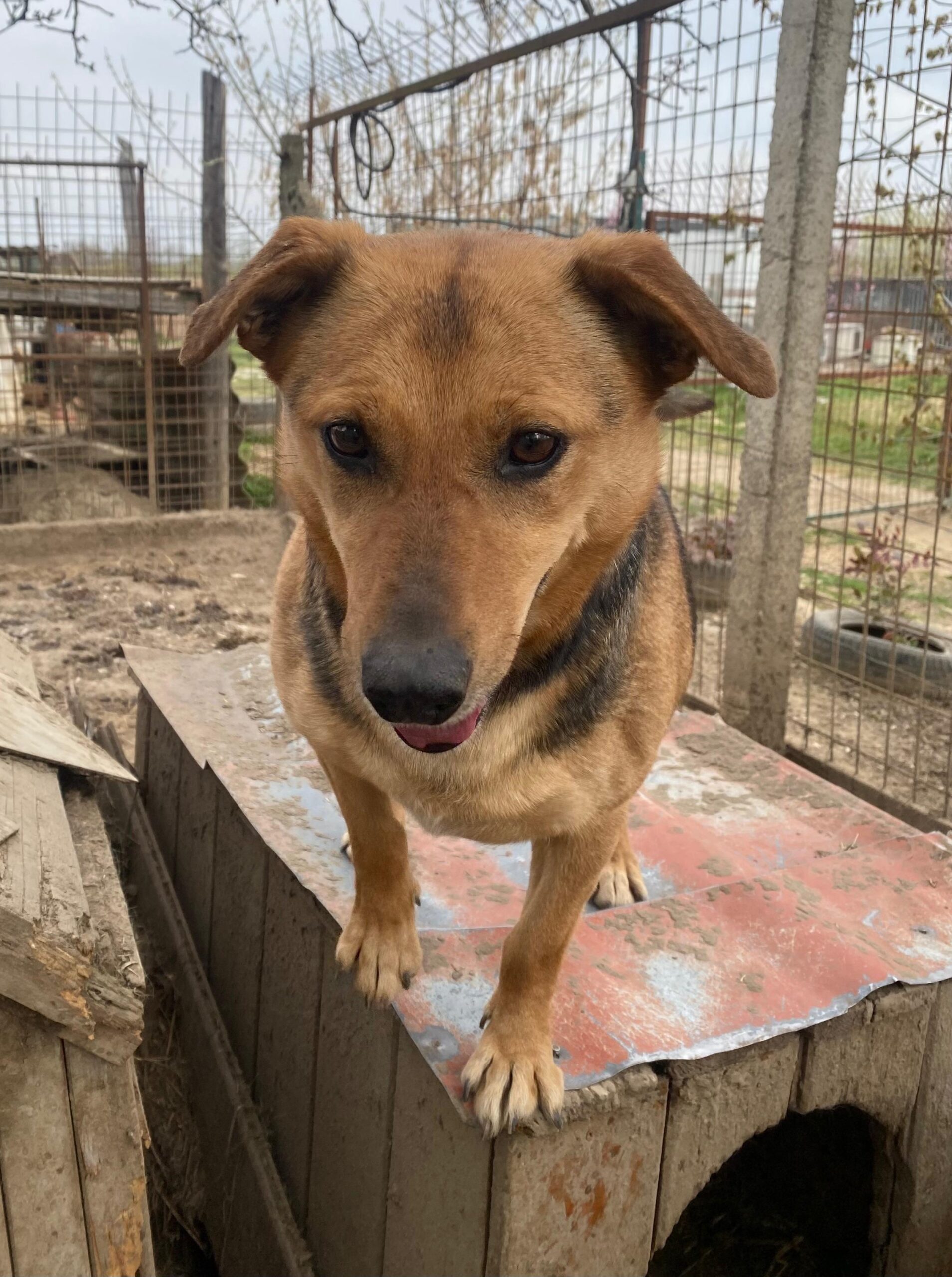 WhatsApp Image 2026-04-07 at 12.43.13 (4)