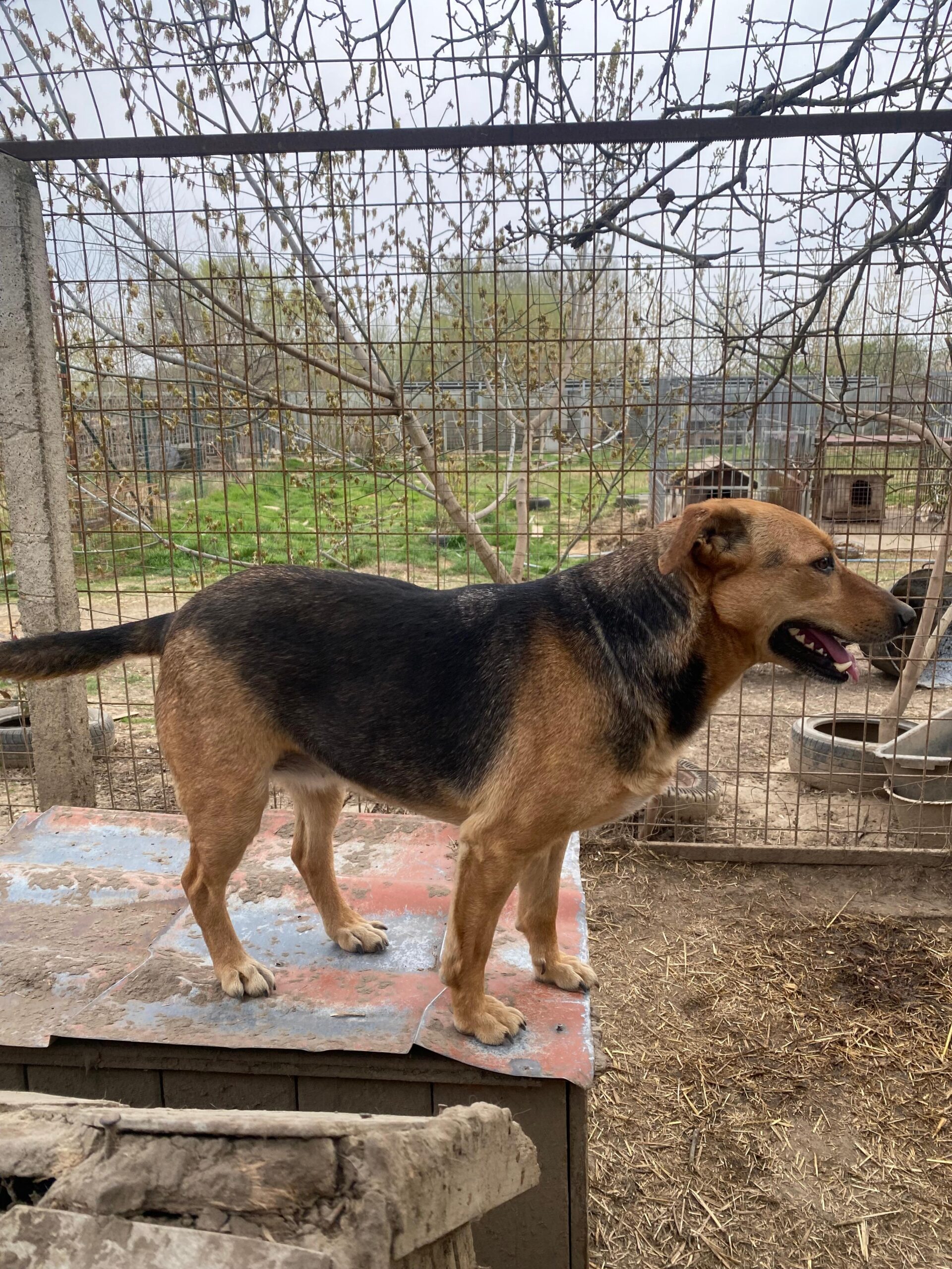 WhatsApp Image 2026-04-07 at 12.43.13