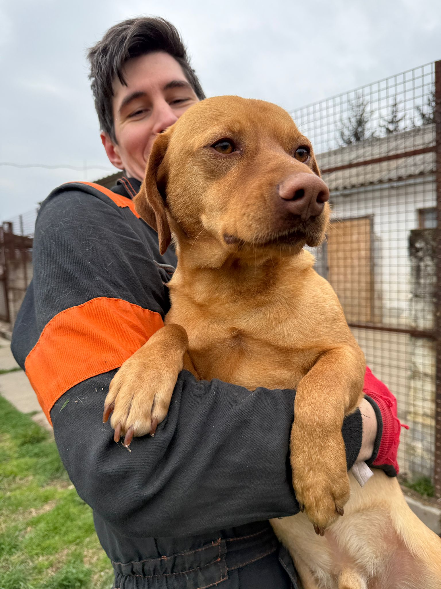IMG-20260522-WA0017